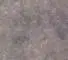 Гоби 07