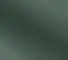 Continent 697