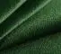 Jungle