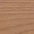 Вяз альпийский