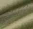 Oliva