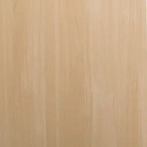 Солнечный клен