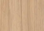 Дуб медовый