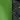 Green+Black PU
