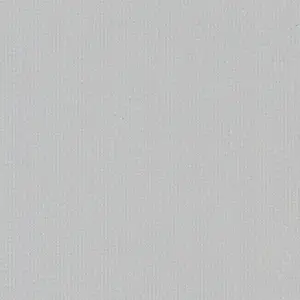 Silver 000