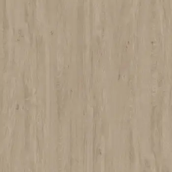 Дуб Светлый