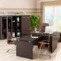 КАБИНЕТЫ РУКОВОДИТЕЛЯ Дипломат (Diplomat) D - мебель для кабинета руководителя