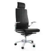для руководителя виста экс (vista ex)
