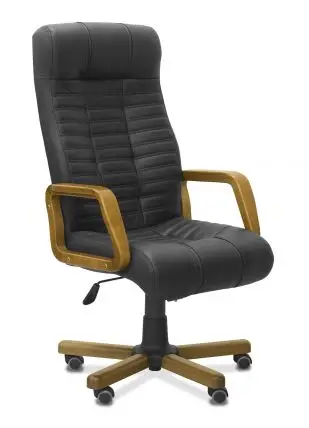 ДЛЯ РУКОВОДИТЕЛЯ Атлант В (Atlant W)