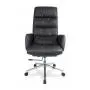 ДЛЯ РУКОВОДИТЕЛЯ ЦЛГ (CLG-625 LBN-A Black)
