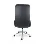 ДЛЯ РУКОВОДИТЕЛЯ ЦЛГ (CLG-625 LBN-A Black)