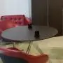 СТОЛЫ ДЛЯ ПЕРЕГОВОРОВ Суперджет (SUPERJET) - стол для переговоров