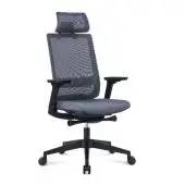 для руководителя рейн (rein)