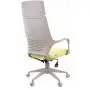 ДЛЯ РУКОВОДИТЕЛЯ Трио Грей ТМ (Trio Grey TM)