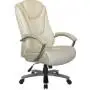 ДЛЯ РУКОВОДИТЕЛЯ Босс 9373 (Boss 9373)