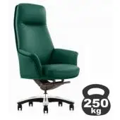 для руководителя батисто (batisto)