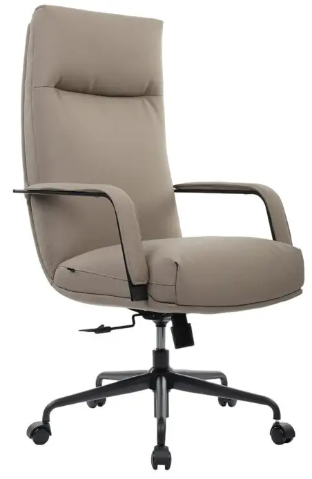 ДЛЯ РУКОВОДИТЕЛЯ Отто (Otto RCH CM-P001AS)