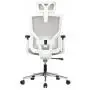 ДЛЯ РУКОВОДИТЕЛЯ Степ (Step AW2320)