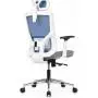 ДЛЯ РУКОВОДИТЕЛЯ Степ (Step AW2320)
