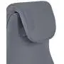 ДЛЯ РУКОВОДИТЕЛЯ Рэй (Ray RPH-28)