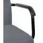 ДЛЯ РУКОВОДИТЕЛЯ Рэй (Ray RPH-28)