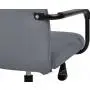 ДЛЯ РУКОВОДИТЕЛЯ Рэй (Ray RPH-28)